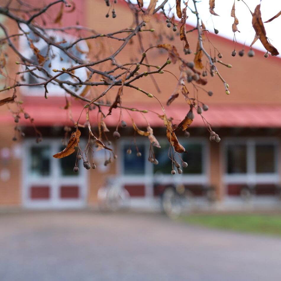 Föräldramöte för årskurs 1